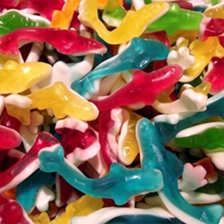 🦈 Requins Lisses  50g
