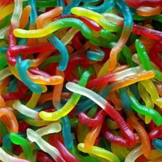 🪱 Vers Lisses 50g